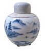 Blue N White Ceramic Jar SP000925